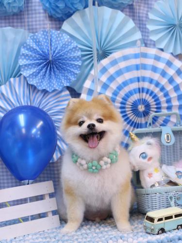 20231118モコくん